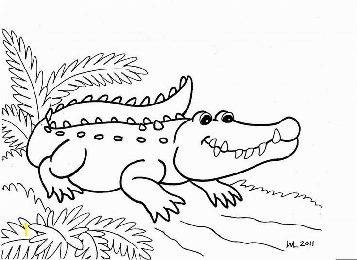 Aligator Coloring Pages Alligator Coloring Pages 107 Best Alligators Pinterest