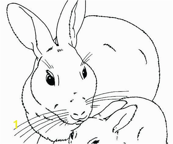 Brer Rabbit Coloring Pages Lustermahtab | divyajanani.org