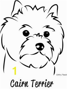 cairn terrier drawings Google Search