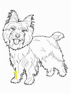 Cairn Terrier Coloring Pages 1024 Best Love Cairn Terriers Images On Pinterest