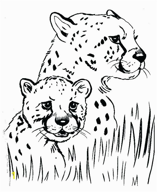 Cheetah Coloring Pages Online Leopard Print Coloring Pages Cheetah Printable Me Animal to for
