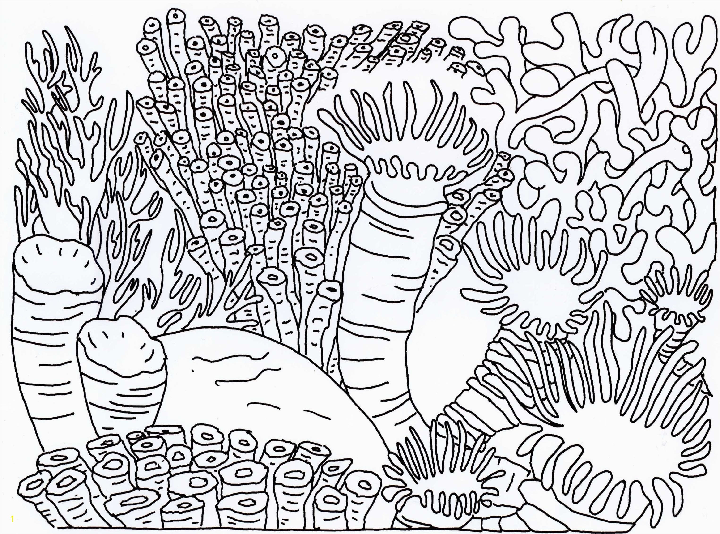 Coral Reef Coloring Page Best Coral Reef Coloring Page Coloring Pages