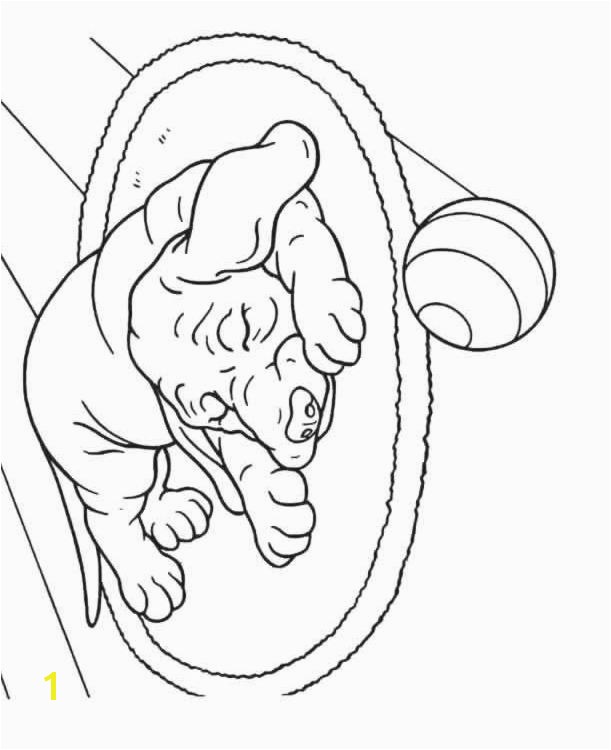 Dog Bed Coloring Pages Coloring Page Dog Sleep Near Ball Coloring