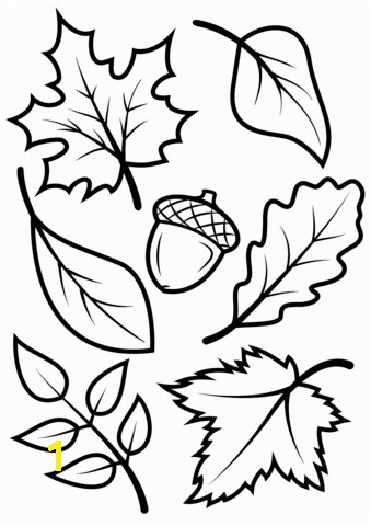 Fall Leaves Coloring Pages Free Fall Leaves and Acorn Coloring Page From Fall Category Select From