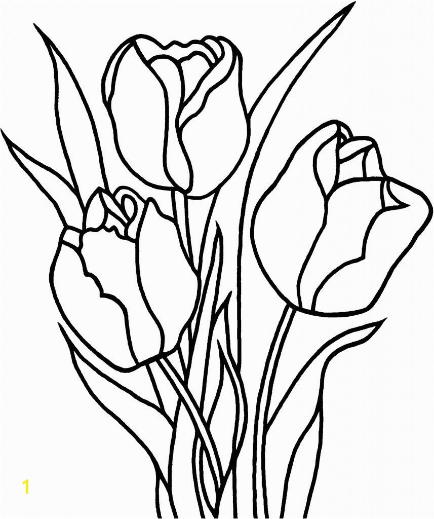 New Tulip Flower Coloring Sheet Free 9 h Free Tulip Coloring Pages With Printable