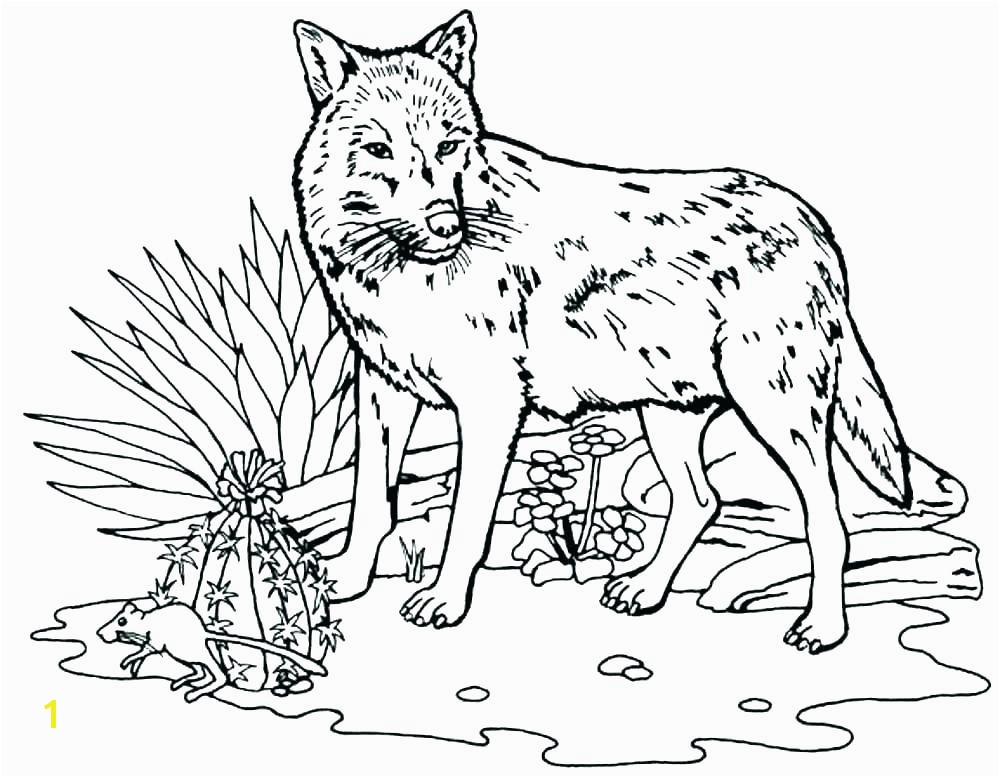 peter and the wolf coloring pages free wolf coloring pages peter and the wolf coloring pages