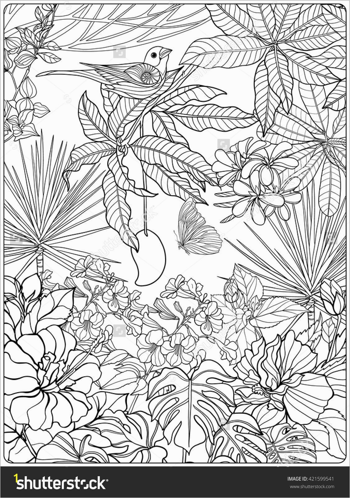 Sumerian Coloring Pages Fresh Tropical Wild Birds and Plants Tropical Garden Collection Coloring Sumerian Coloring