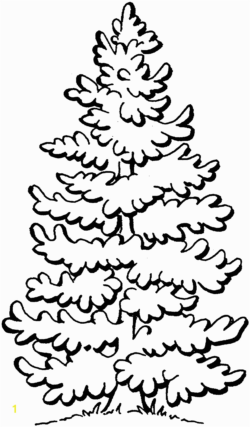 White Pine Tree Coloring Page Pine Tree 1 Coloring Page 8801 500 Pixels