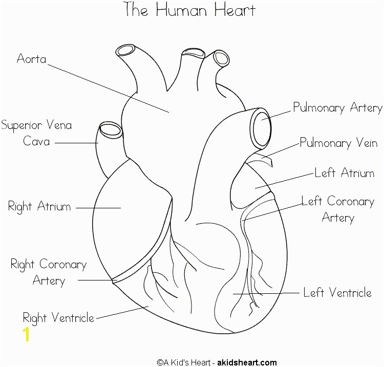 Human Hearts with Labels to Print