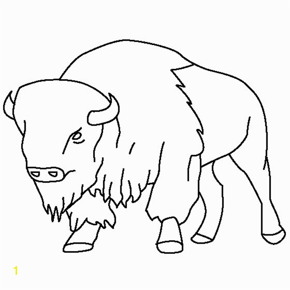 new american bison coloring pages design printable coloring sheetbest of american bison coloring pages free 17