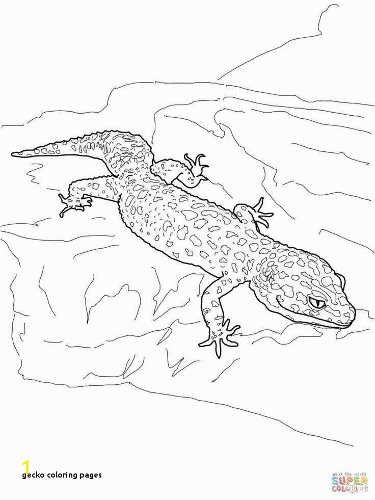 Gecko Coloring Pages Lovely Animal Coloring Sheets