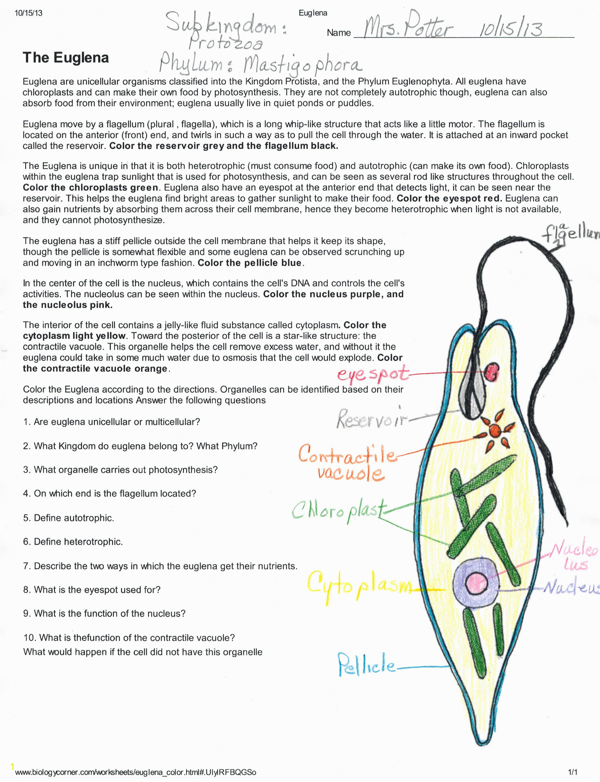 Euglena Coloring Page Euglena Coloring Page Coloring Pages Coloring Pages