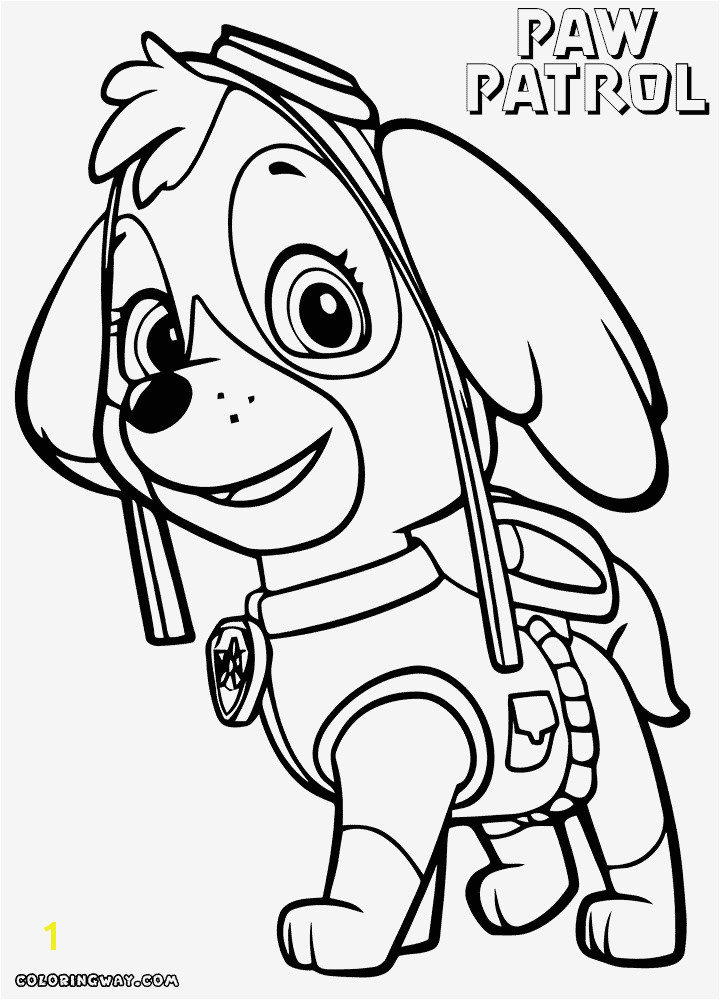 Paw Patrol Skye Collectie 20 Beautiful Marshall Paw Patrol Coloring Page