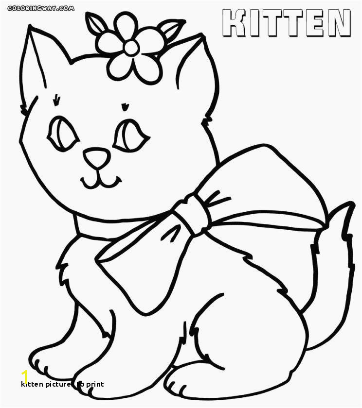 Free Printable Kitty Cat Coloring Pages 24 Kitten to Print