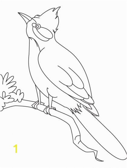 A nightingale bird watching coloring page Download Free A nightingale bird watching coloring page for kids