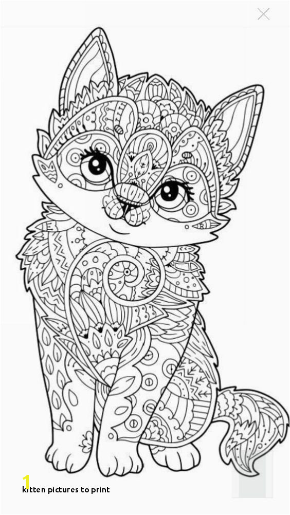 Litten Coloring Pages Kitten to Print Cat Coloring Pages Free Printable Awesome