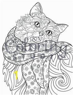 Ragdoll Rocking a Scarf Garden Coloring PagesDog