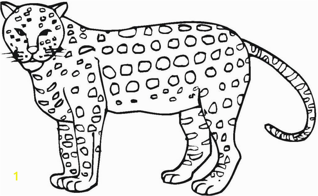 22 Beautiful Cheetah Coloring Page Inspiration