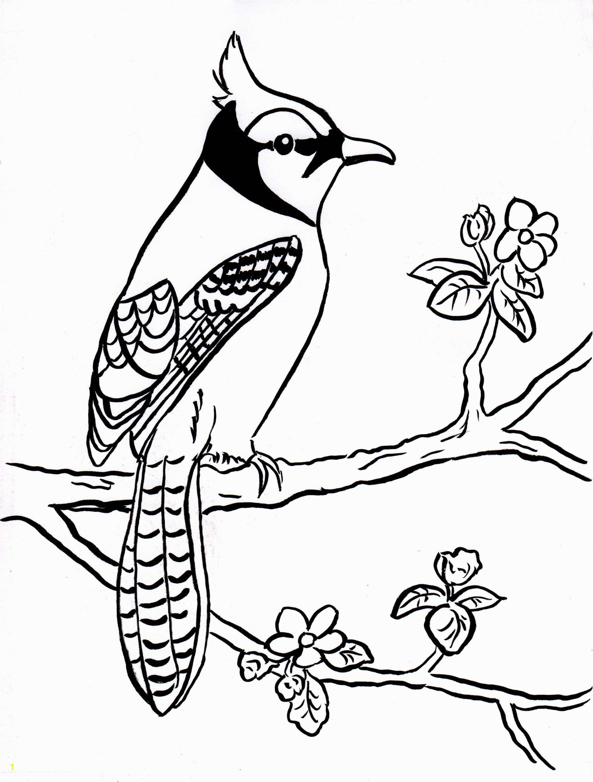 Toronto Blue Jays Logo Coloring Pages Coloring Pages