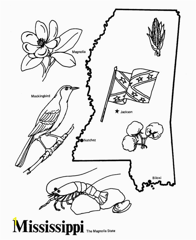 Trail Of Tears Coloring Page Mississippi State Outline Coloring Page I Copy the Image and Paste