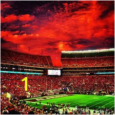 Bryant Denny Stadium Wall Mural 39 Best Sweet Home Alabama Images