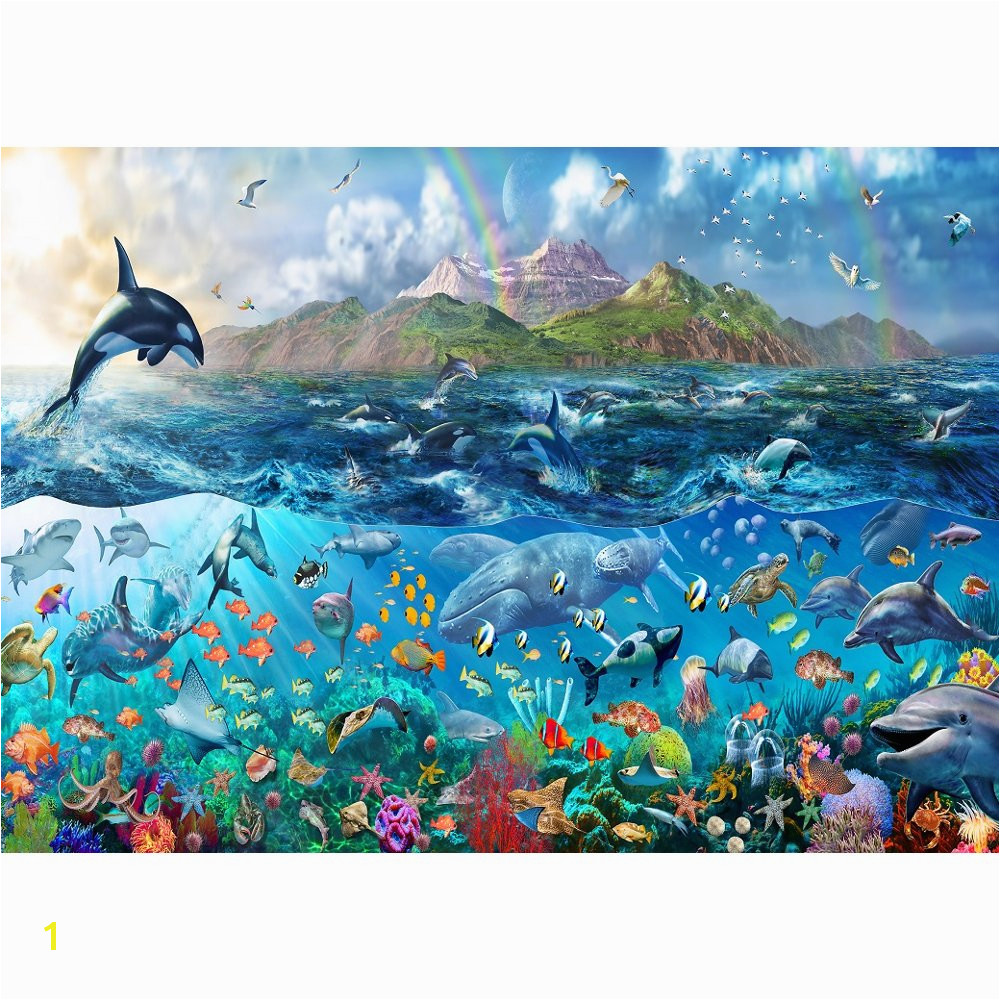 Sea Life Wall Murals Underwater Ocean Wallpaper Murals Wallpapersafari