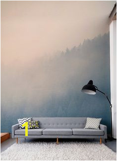 Wall Paper Murals for Sale 197 Best Living Room Murals Images