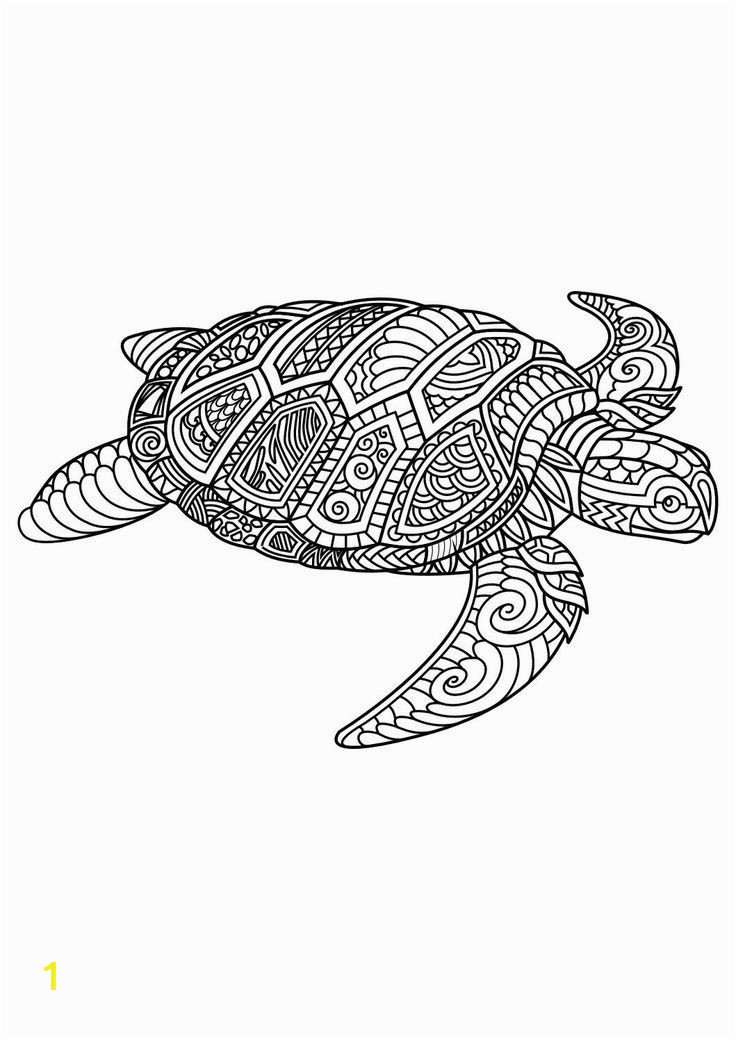 Baby Turtle Coloring Pages Image Result for Free Mandala Coloring Page with A Lizard or
