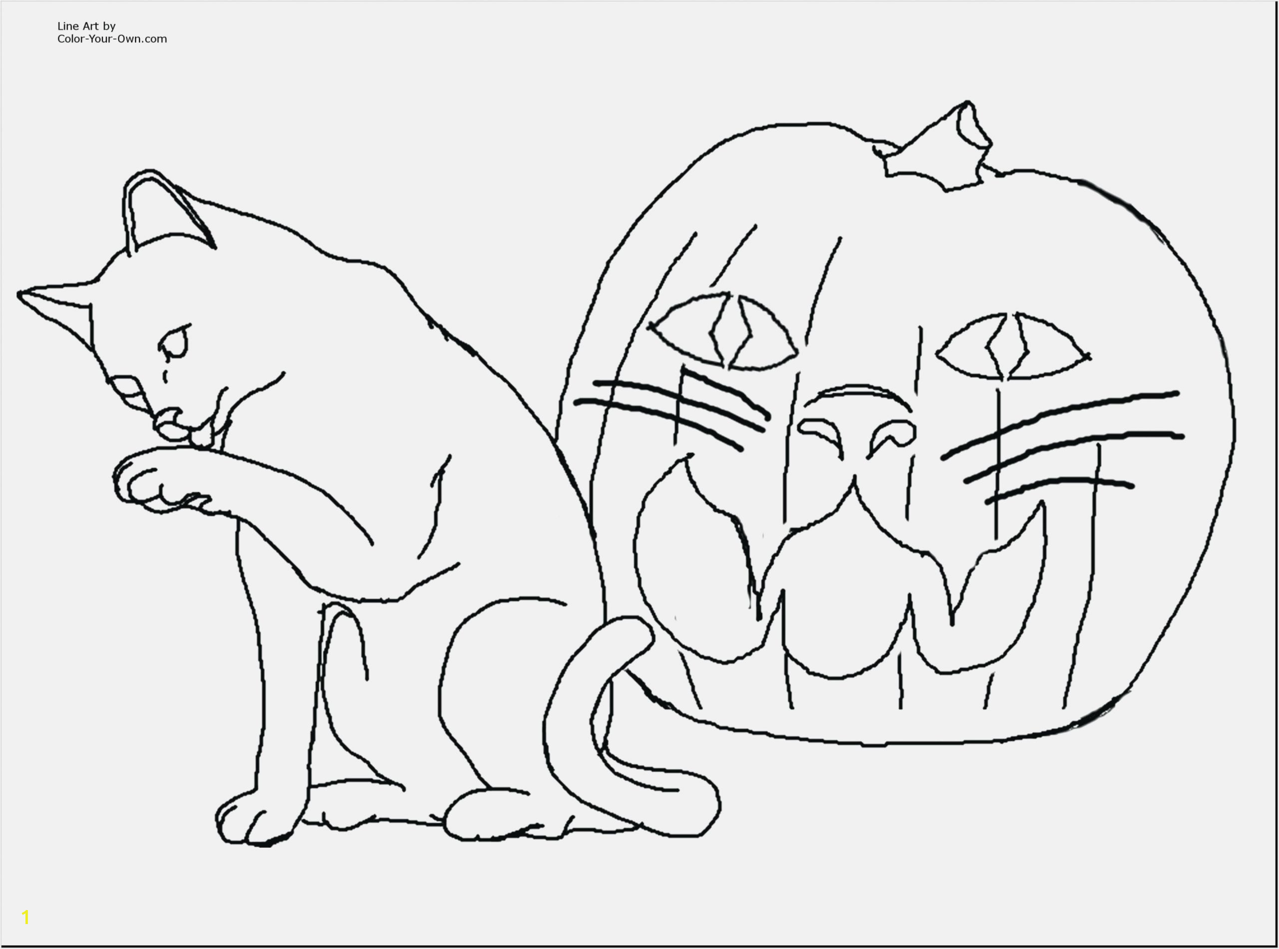 Cat Warriors Coloring Pages Print Coloring Pages Kitten at Coloring Pages