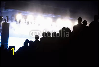 silhouette of concert crowd and stage lights webp