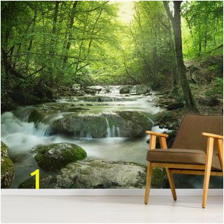 Forest Stream Wall Mural Enchanting forest Waterfall In 2019 Home