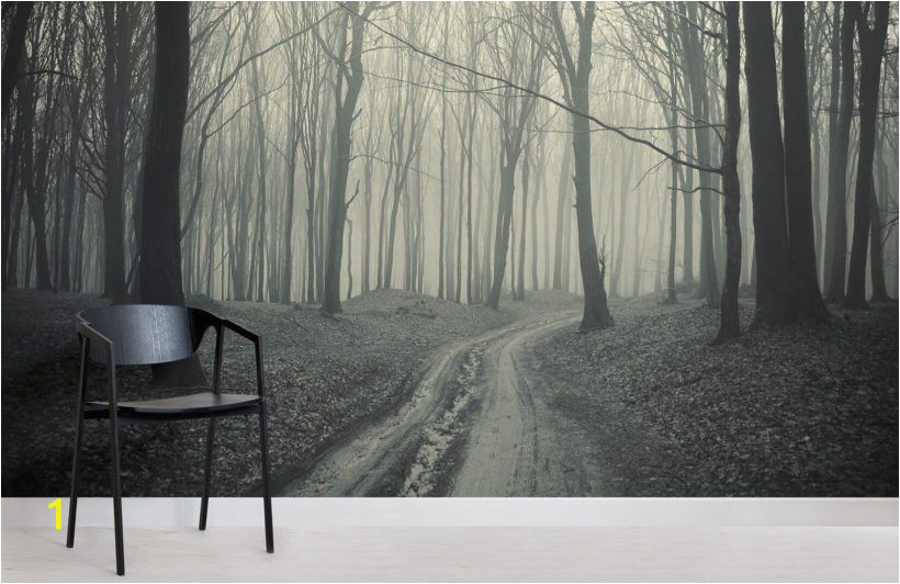 Forest Wall Murals Uk Black and White forest Path Mural