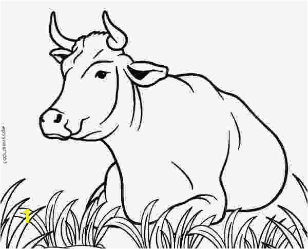 Free Printable Cow Coloring Pages Cow Coloring Sheets Free Printable Cow Coloring Pages for