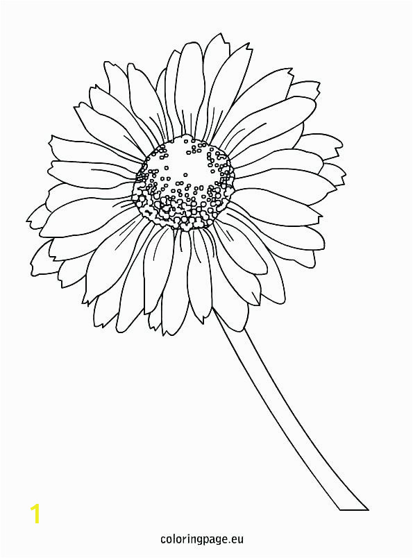 daisy coloring pages 13