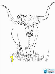 Highland Cow Coloring Page 111 Best Bull Coloring Pages Images