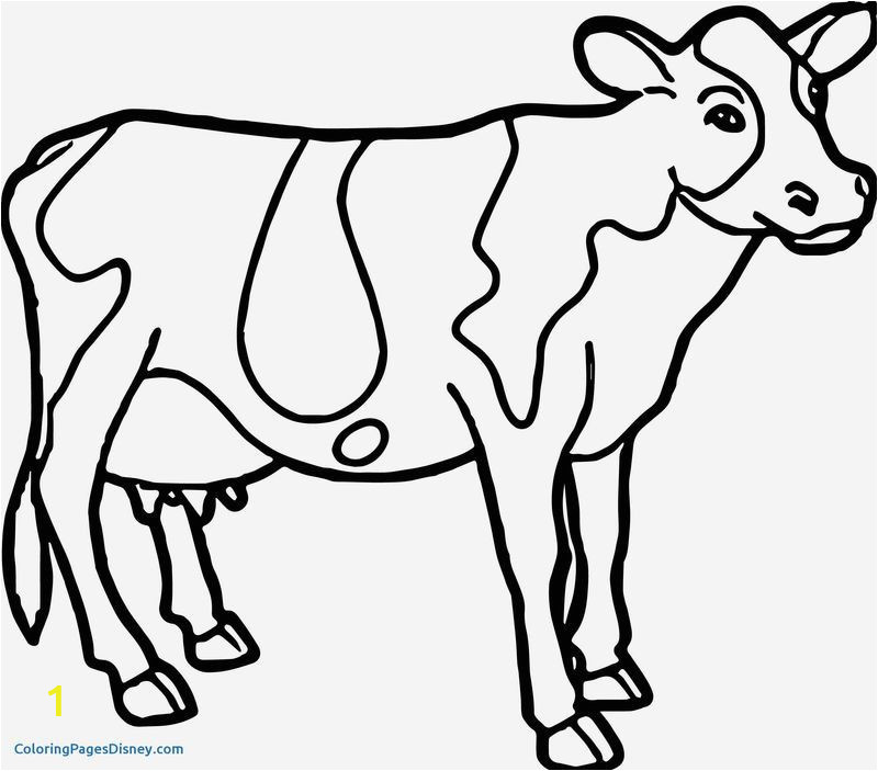 Highland Cow Coloring Page Cute Cow Coloring Pages Ideas
