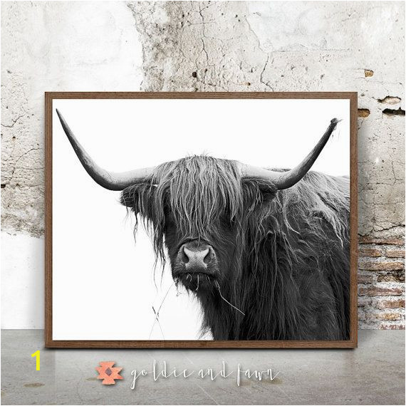 Highland Cow Wall Mural Buffalo Print Print In the 20×30 Size and Frame In A Walnut