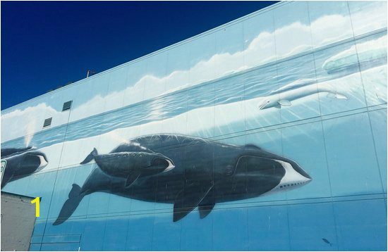 whale wall downtown anchorage