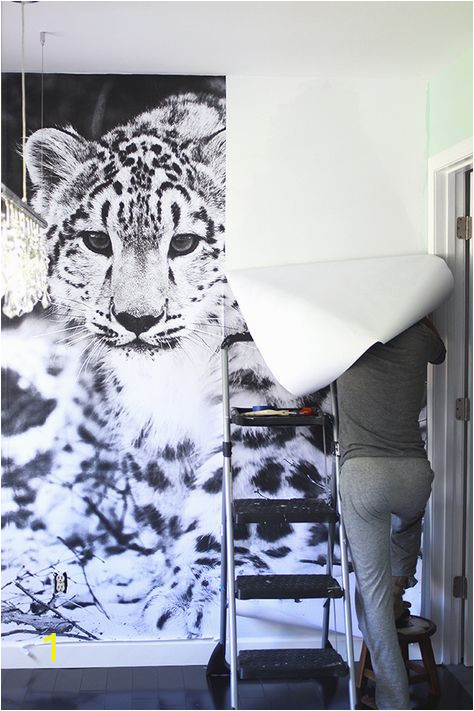 Leopard Print Wall Mural Snow Leopard Wallpaper Mural Diy