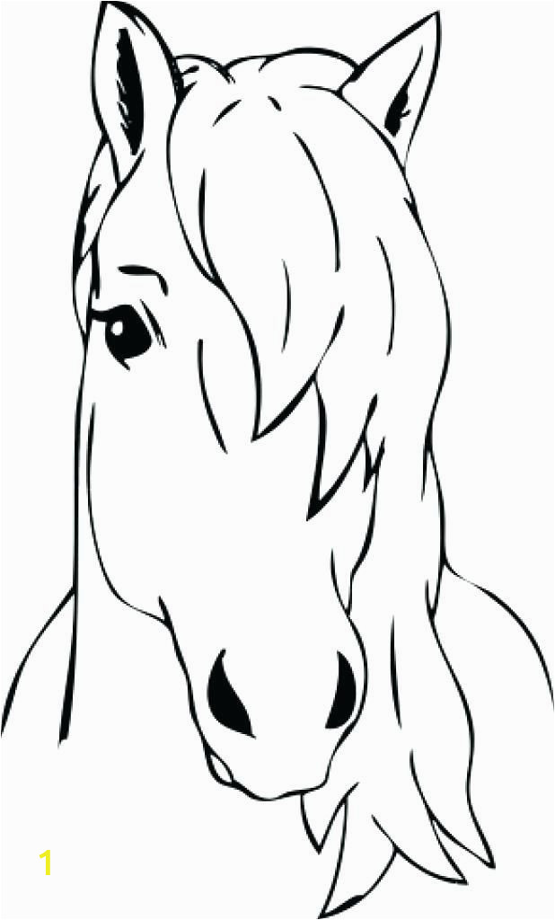 Lion Head Coloring Pages Horse Head Coloring Page Head Coloring Page Blank Face