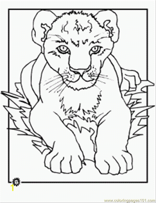 Lion Head Coloring Pages Lion Cub Coloring Page Coloring Page Free the Lion King