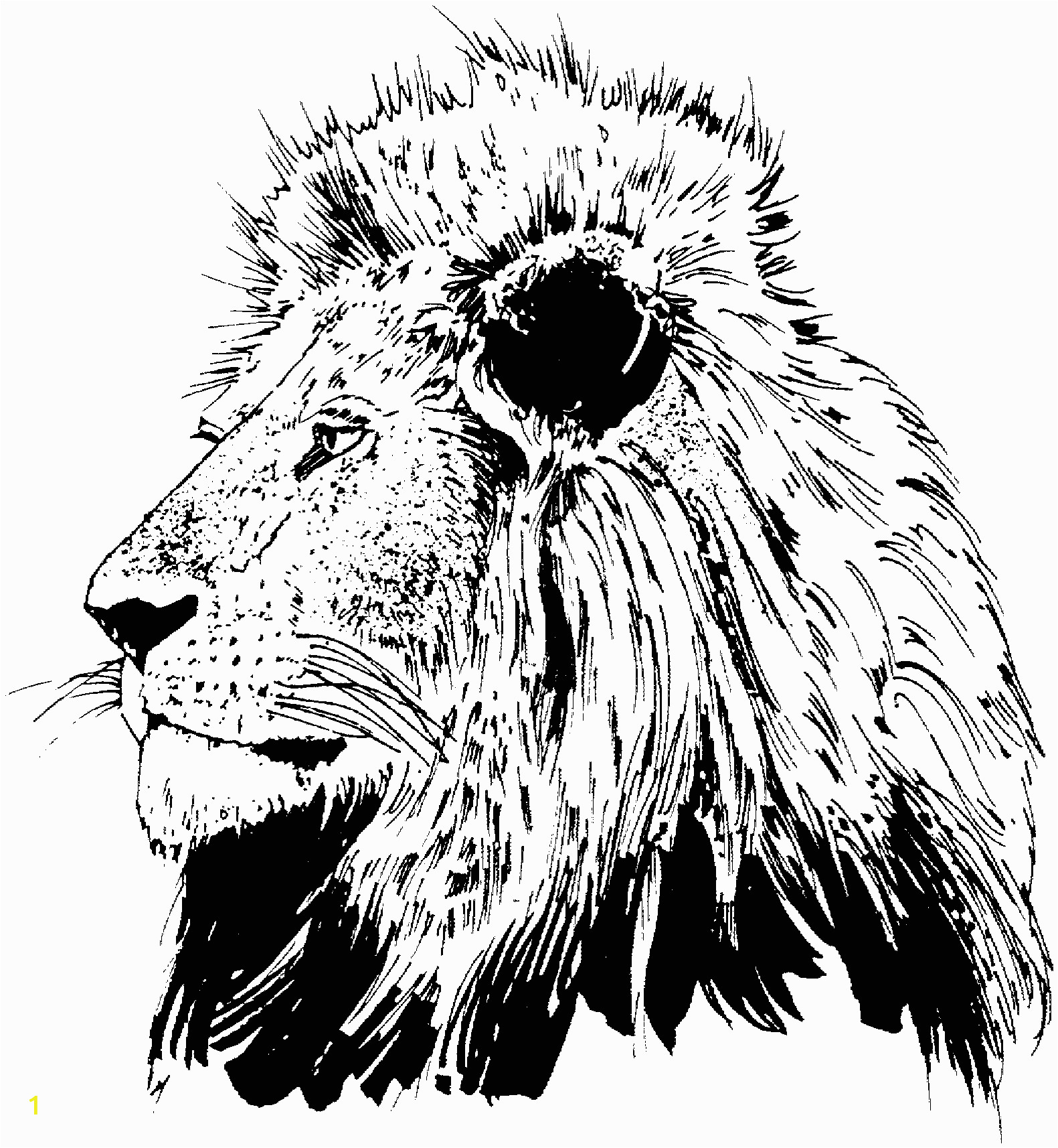 Lion Head Coloring Pages Lion Free Clipart 110