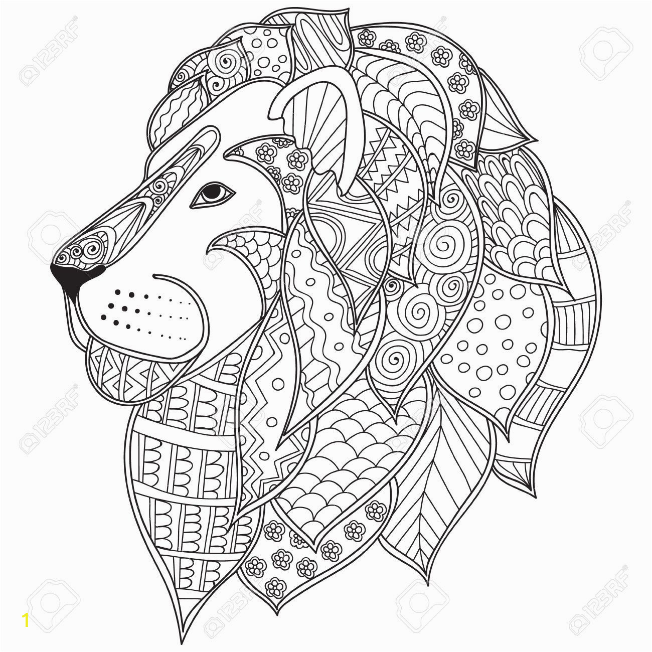Lion Head Coloring Pages Stock Vector