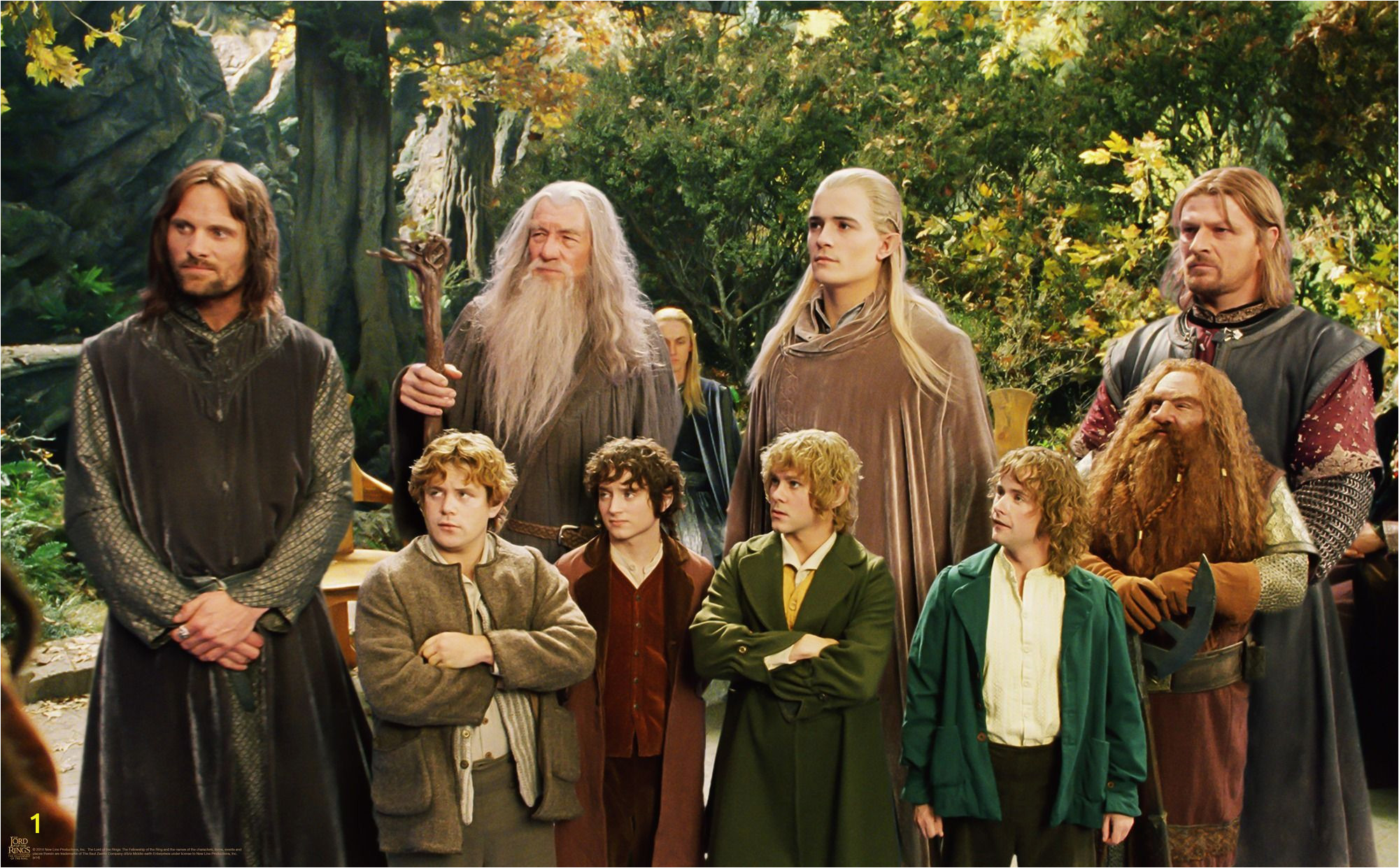 Сколько длится властелин колец. Хоббит братство кольца. Гэндальф Фродо Арагорн. Фродо очнулся в Ривенделле.