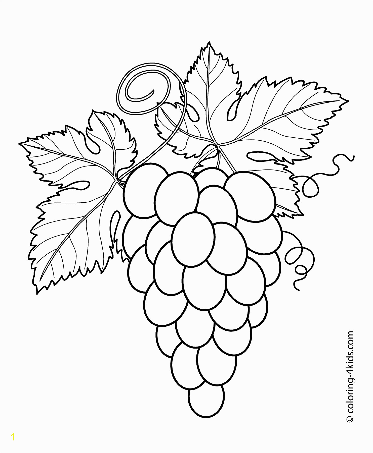 Printable Fruit Coloring Pages Grapes with Leaves Fruits and Berries Coloring Pages for
