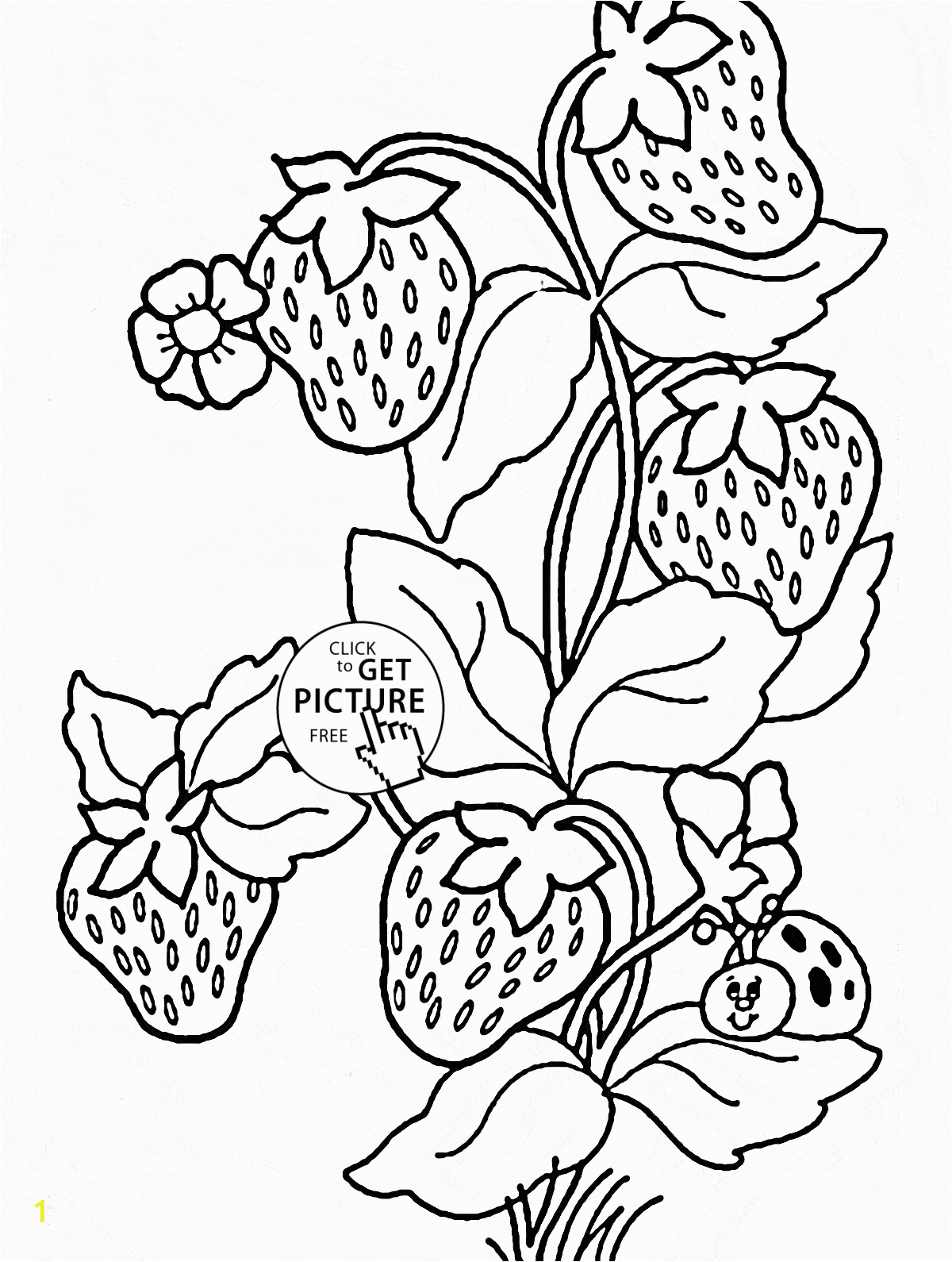 Printable Fruit Coloring Pages Ladybug and Strawberries Coloring Page for Kids Fruits