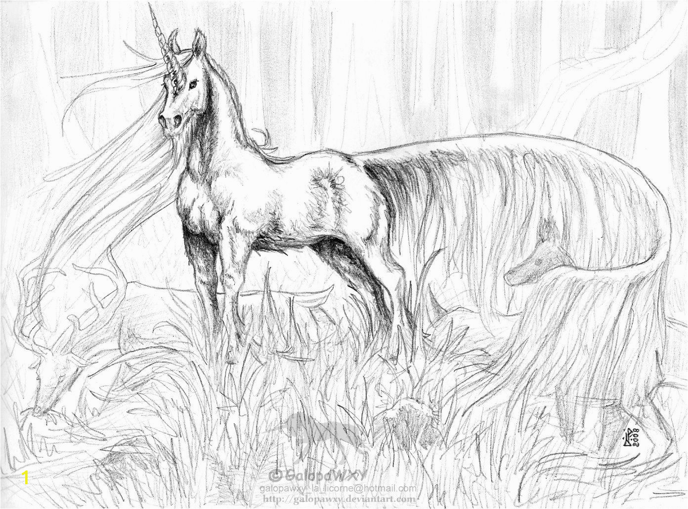 Realistic Unicorn Coloring Pages the Great Unicorn by Galopawxy