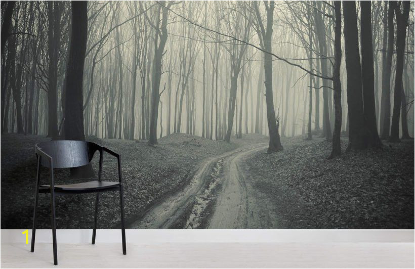 Winter forest Wall Mural Black and White forest Path Mural