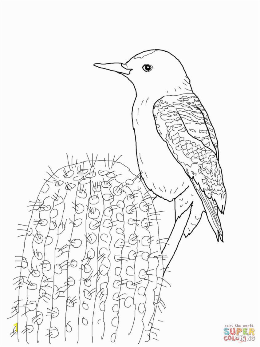 Птица дятел для печати