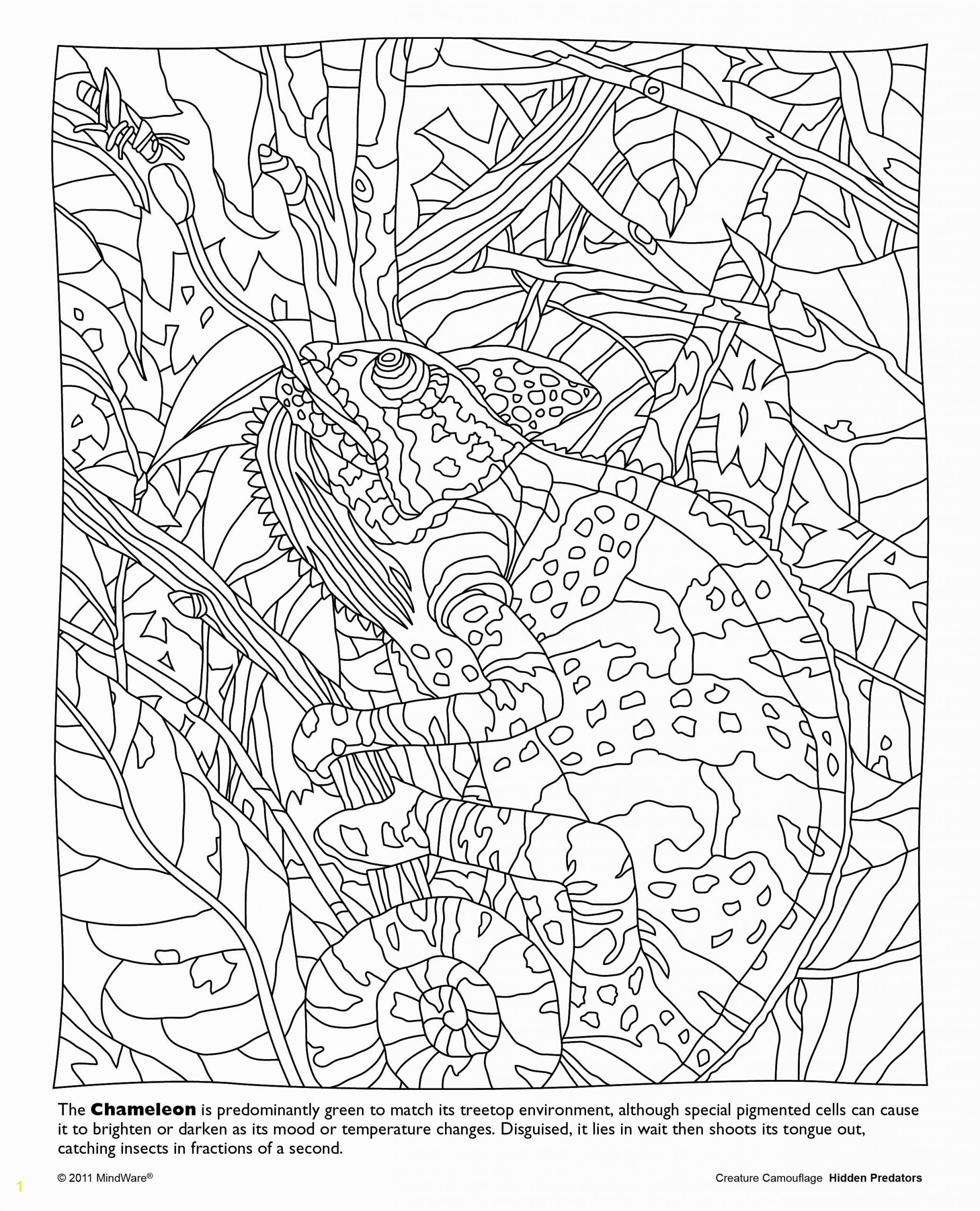 New Animal Kingdom Coloring Pages 